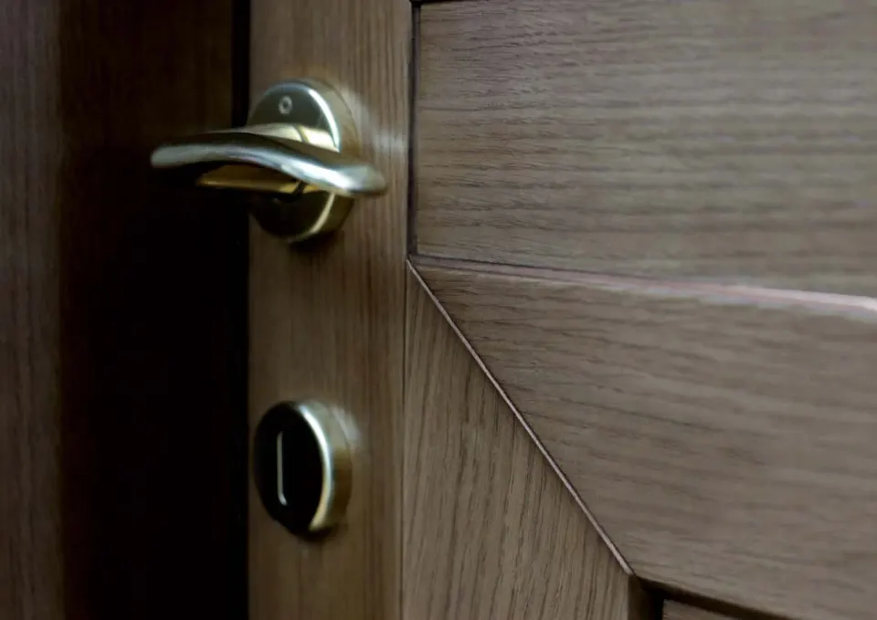 Close-up of an oak-tone door with an angled panel and a two-tone silver and brass lever